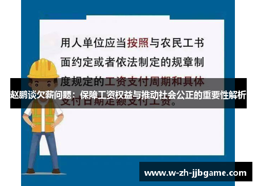 赵鹏谈欠薪问题：保障工资权益与推动社会公正的重要性解析